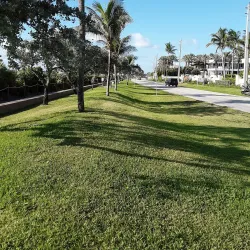 Atlantic Avenue - Delray Beach