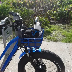 Atlantic Avenue - Delray Beach