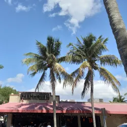 Atlantic Avenue - Delray Beach