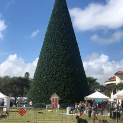 Atlantic Avenue - Delray Beach