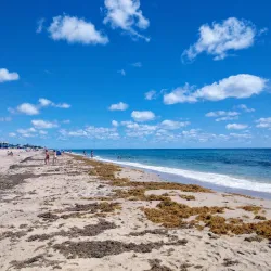 Delray Municipal Beach - Delray Beach