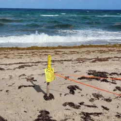 Delray Municipal Beach - Delray Beach