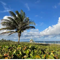 Delray Municipal Beach - Delray Beach