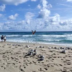 Delray Municipal Beach - Delray Beach