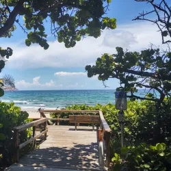 Gulfstream Park - Delray Beach