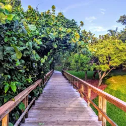 Gulfstream Park - Delray Beach