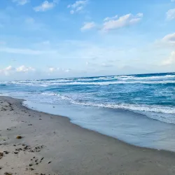 Gulfstream Park - Delray Beach