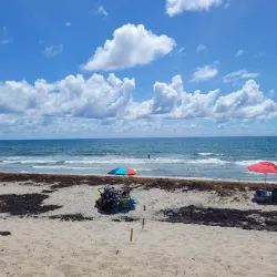 Gulfstream Park - Delray Beach