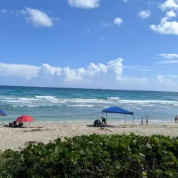 Gulfstream Park - Delray Beach