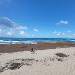 Gulfstream Park - Delray Beach