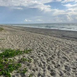 Gulfstream Park - Delray Beach