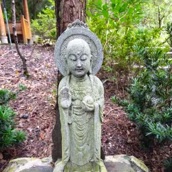 Morikami Museum and Japanese Gardens - Delray Beach