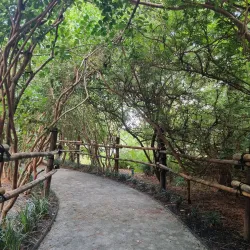 Morikami Museum and Japanese Gardens - Delray Beach