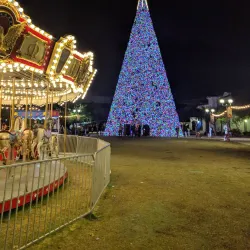 Pineapple Grove Arts District - Delray Beach