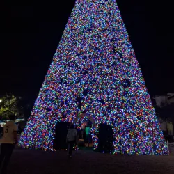 Pineapple Grove Arts District - Delray Beach