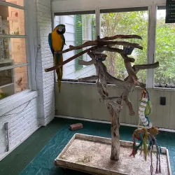 Sandoway Discovery Center - Delray Beach