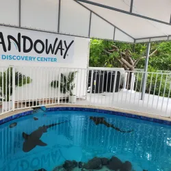 Sandoway Discovery Center - Delray Beach