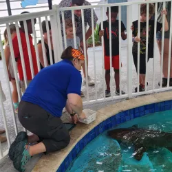 Sandoway Discovery Center - Delray Beach