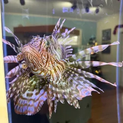 Sandoway Discovery Center - Delray Beach