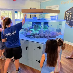 Sandoway Discovery Center - Delray Beach