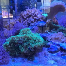 Sandoway Discovery Center - Delray Beach