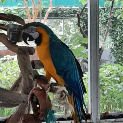 Sandoway Discovery Center - Delray Beach