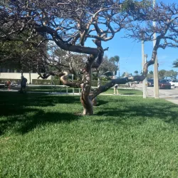 Sandoway Discovery Center - Delray Beach