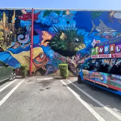 Silverball Museum - Delray Beach