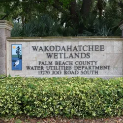Wakodahatchee Wetlands - Delray Beach