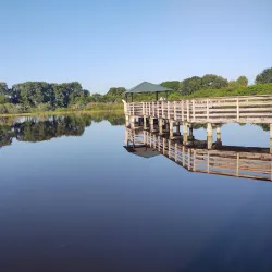 Wakodahatchee Wetlands - Delray Beach