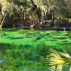 Blue Springs State Park - Deltona