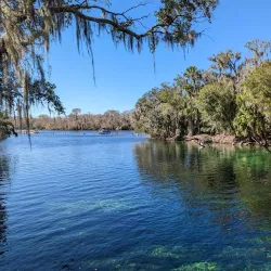Blue Springs State Park - Deltona