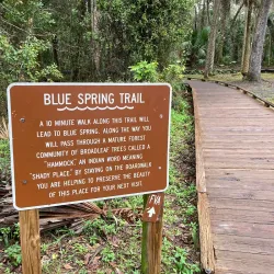 Blue Springs State Park - Deltona