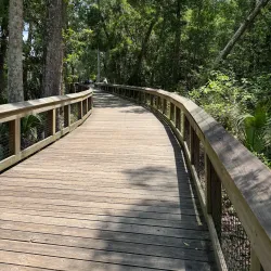 Blue Springs State Park - Deltona