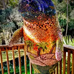 Blue Springs State Park - Deltona