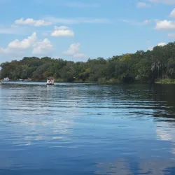 Blue Springs State Park - Deltona