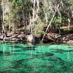 Blue Springs State Park - Deltona