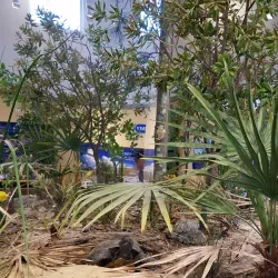 Deltona Amphitheater - Deltona