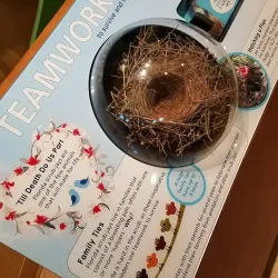 Deltona Amphitheater - Deltona