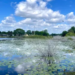 Deltona Lakes Park - Deltona