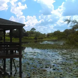 Deltona Lakes Park - Deltona