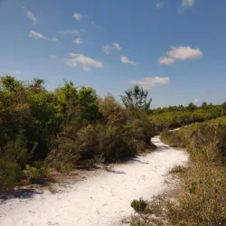 Deltona Nature Trail - Deltona