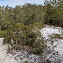 Deltona Nature Trail - Deltona