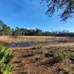 Deltona Nature Trail - Deltona