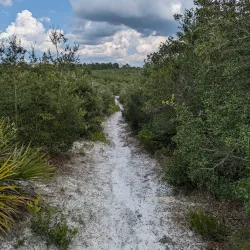 Deltona Regional Library - Deltona