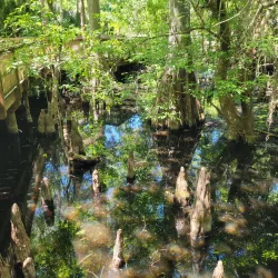 Lake Monroe Park - Deltona
