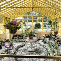 Bonnet House Museum & Gardens - Fort Lauderdale