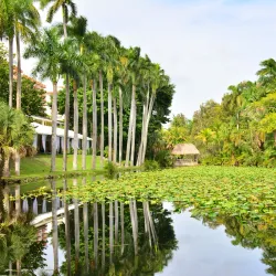Bonnet House Museum & Gardens - Fort Lauderdale