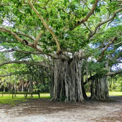 Hugh Taylor Birch State Park - Fort Lauderdale