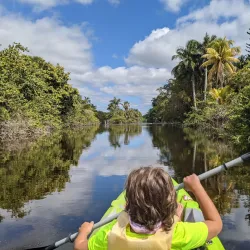 Hugh Taylor Birch State Park - Fort Lauderdale